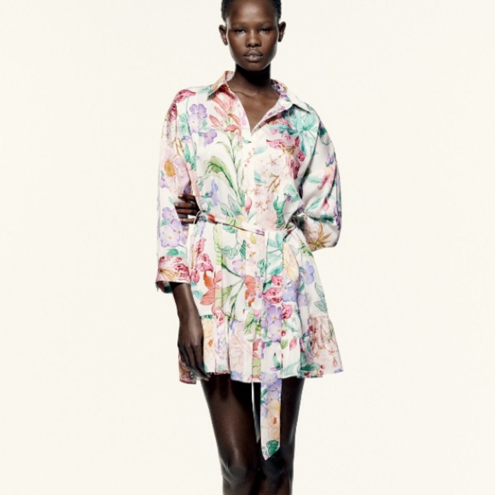 Zara Floral Multicolor Dress
